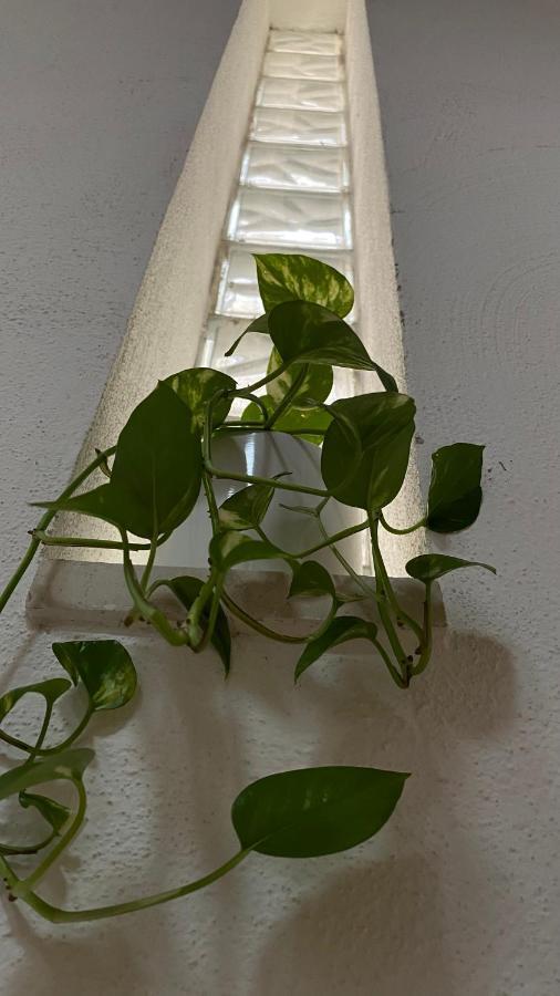 Locanda Le Ginestre Cantalupo in Sabina Eksteriør bilde